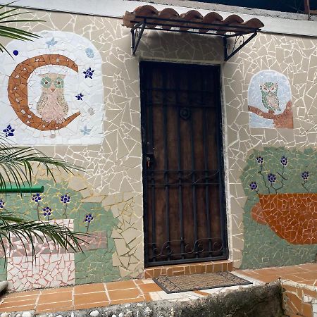 Owl House Hotel Piedades Bagian luar foto