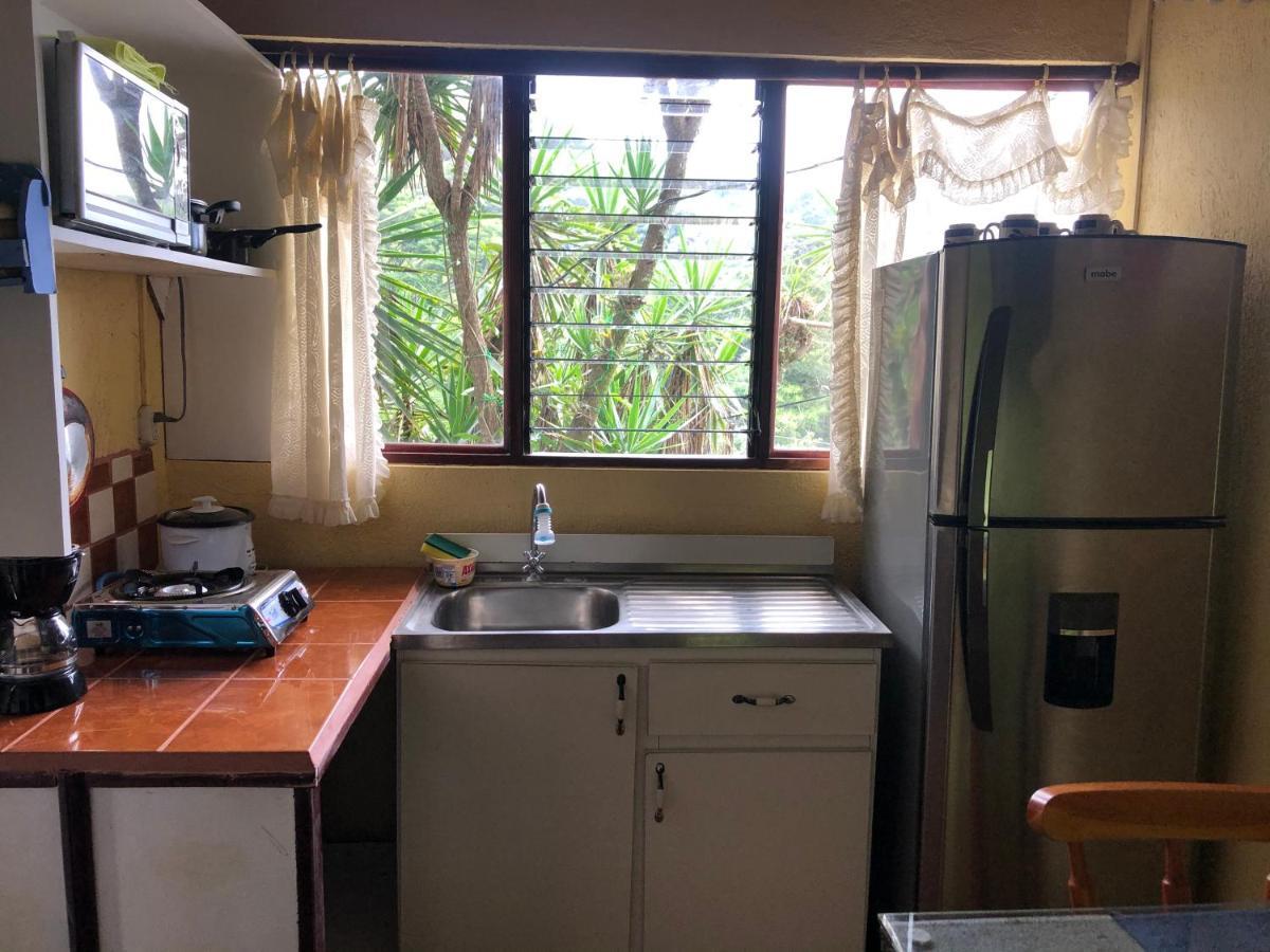 Owl House Hotel Piedades Bagian luar foto