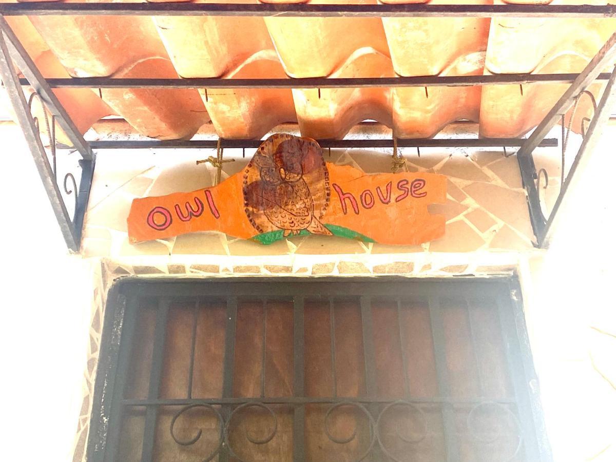 Owl House Hotel Piedades Bagian luar foto