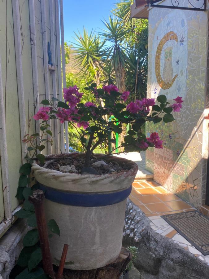 Owl House Hotel Piedades Bagian luar foto