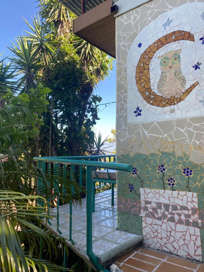 Owl House Hotel Piedades Bagian luar foto