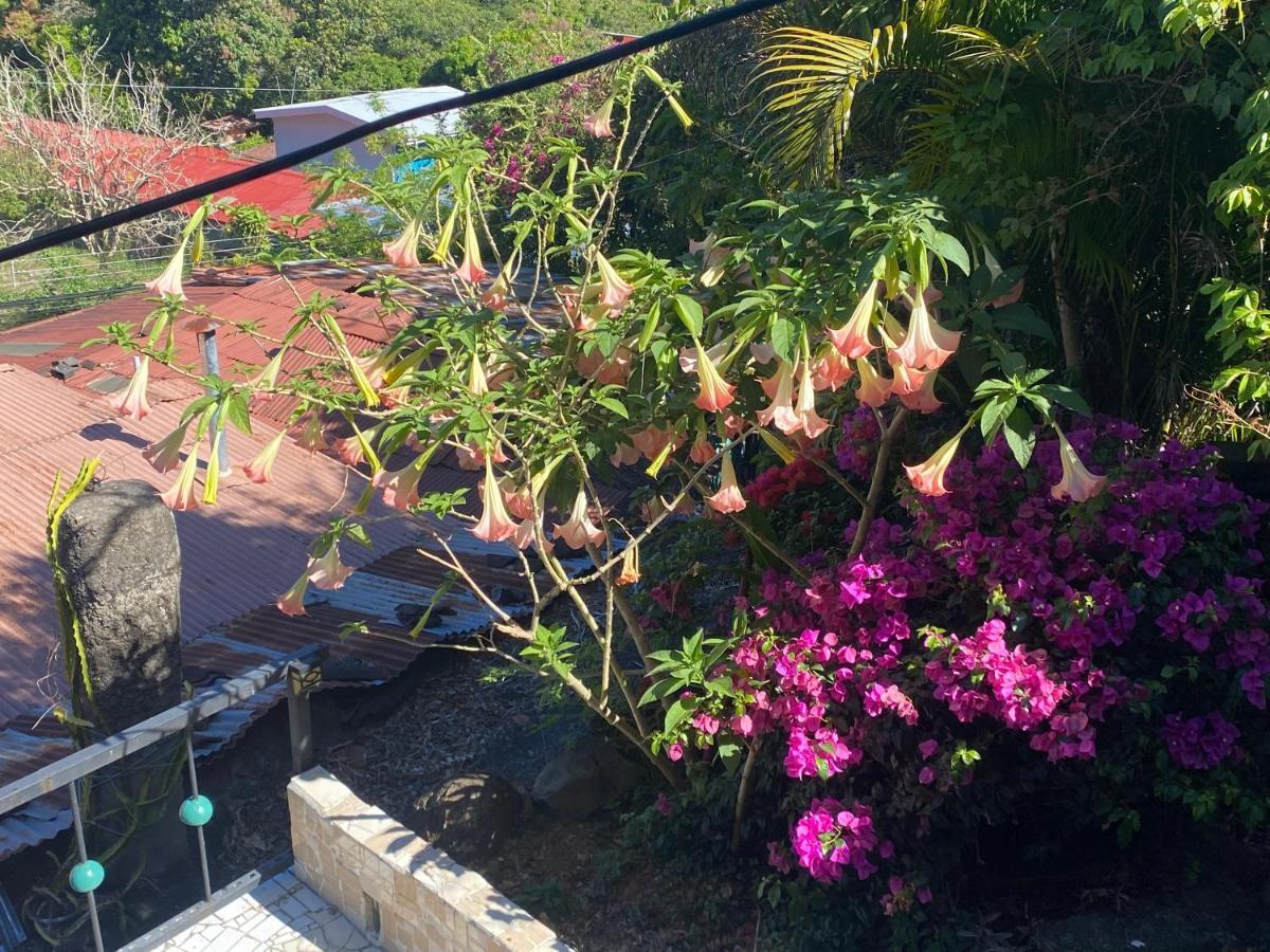 Owl House Hotel Piedades Bagian luar foto