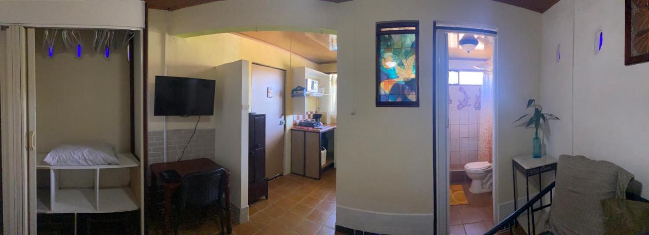 Owl House Hotel Piedades Bagian luar foto